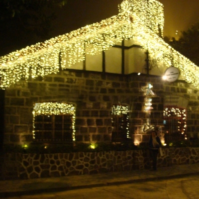 Yellow Flower Shelf LED String Christmas Lights