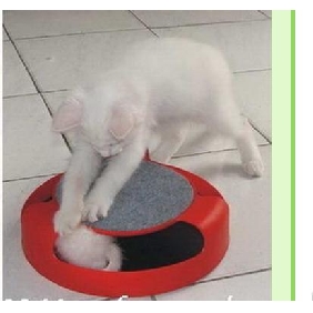Red & Gray Round Shape Plastic Cat Toy