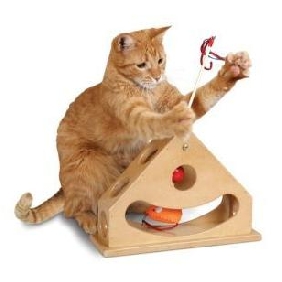 Pendulum In Triangle Shape Wooden Cat Toy