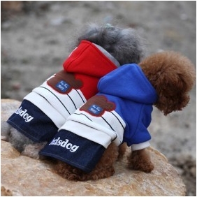 Thicken With Hat Wool Apparel