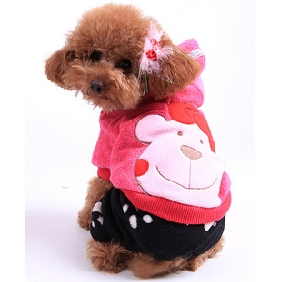 Pink Cartoon Thicken Apparel