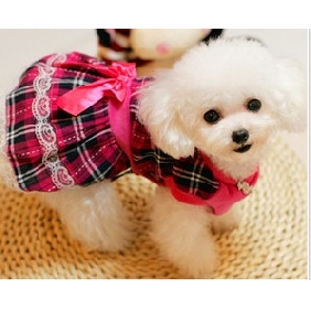 With Butterfly Tie Lace Edge Grid Apparel