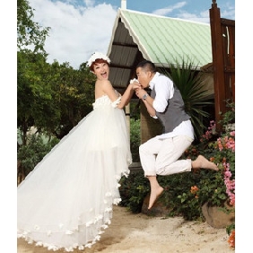Tulle Sweep Train With Purfle Beach Wedding Dresses