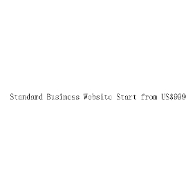 Standard Business Website Start from US$999