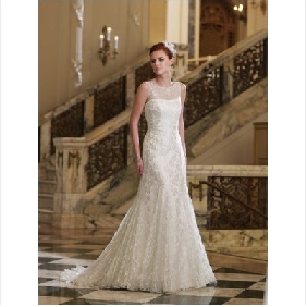 Backless Lace Long Tail Tulle Beach Wedding Dresses