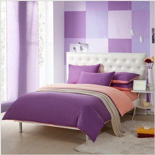 Double Side Queen Sze Purple Pink Bedding Set