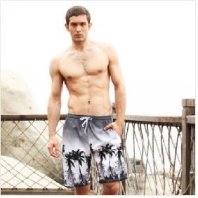 Gray Coconut Images On Quick Dry Men's Beach Shorts