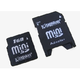 1GB Micro Kingston Memory Card
