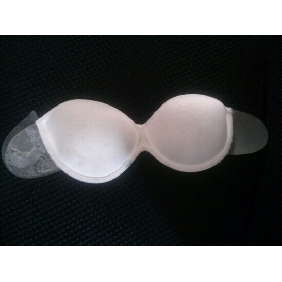 Sample Fee for Bra