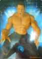 24*13.5*34(CM)WWE Man-puppet,Plastic Toys,TNA,boxing King,wrestling,gladiator,action Figure,toys,kid Toy Free Shipping