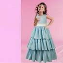 Flower Girl Dress Sleeveless Pageant Dress Bridal Dress Light Blue