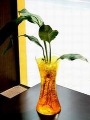 Cubic Crystal Soil