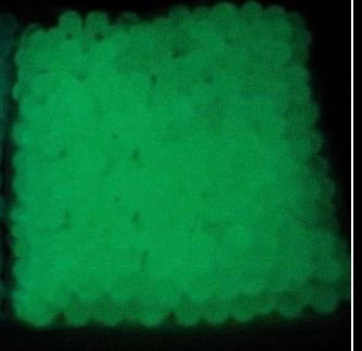Free Shipping/Shiny Beads/fluorescent Soil
