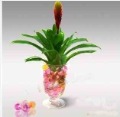 3D Crystal Magic Mud Soil-Water Beads-Flower Plant Wedding/Bar/Garden 1KG Wholesale USD20-30/KG Freeship