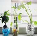 Free Shipping (100bag Price) Hydro Culture Soil,crystal Soil, Rainbow Soil