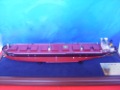 Guaranteed 100% 1:1000 Tian Lu Hai 175000 DWT Capesize Buck Carrier Toy