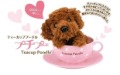 Free Shipping Teacup Poodle with Tea Cup and Plate,will Make Voice When Touching.Tiny Pocket Dog Pet