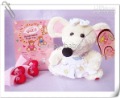 Genuine Zodiac Recording Doll Style Toy Nice Gift for Christmas Day Promotion Gift 20pcs/lot
