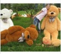 Best Selling New Arrival 50% Off Discount and Cleanrance High Quality 6.56 FEET TEDDY BEAR STUFFED LIGHT BROWN GIANT JUMBO 78"