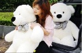 80cm White Teddy Bear,teddy Bear,plush Toy,free Shipping +gift