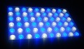 Hot New (Two Plug Availble) Led Aquarium Light