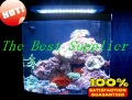 Best Selling New 120w LED Aquariums Light With Switches Best For Coral & Reef Tank Light