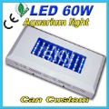 60W Aquarium Coral Reef Tank White Blue LED Grow Light Wholesale Retail Sales