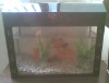 RH010 Modern Design Acrylic Fish Tank