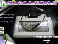 Whole Sale Timer Control 120W(119*1W) LED Aquarium Light Blue(455nm):white(14000K)=1:1 + Free Shipping