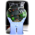 Tropical Fish Aquaqium Without Changing Water