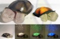 Projector Lamp Projector Turtle Light Night Lamp+ Children's Toys (without Music) 5pcs Hypnosis New