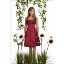 2011 New Fashion Satin Junior Bridesmaid Dress F111