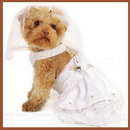 Pet Clothes/ Pet Wedding Dress/ Dog Dress