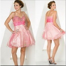 CK-5 New Arrival 2010 Zhenzhen Organza Cocktail Dress