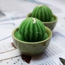 Wedding Decorations,Wedding Gifts,Cactus Candles,Valentines' Day Gifts,Wedding Favors--CT-CD