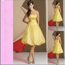 AQ064 Free Shipping Evening Dress, Cocktail Dress