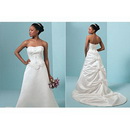 2010 Fashion Free Shipping Wedding Dress BG14