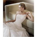 Dress, Tail Type, Bubble Type,the New Wedding and Evening V Neck, Bra. More Book Style Waiting for You! OverHot Sales in 2011,