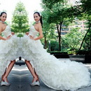 Free Shipping.Hot Sale!Princess Wedding Dress,bride Wedding Dresses,Bride Dresses,1lot=1pcs.Trailing Wedding,lady Wedding Dress