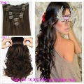 20" 613# Highest Quality Clip On Chinese Remy Hair Free Shipping +Chirstmas Discount