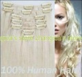 20",Clip In/on Hair Extensions,100% Human Hair Extension,Lightest Blonde #613,7pcs/set,70g/set,Free Shipping