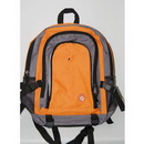 Fashion & Casual Computer Backpack