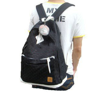 Freeshipping+2010 Fashion Backpack /Luggage