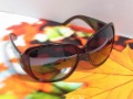 Free Shipping NEW Women's Sunglasses Ladies Sunglasses Fashion Sunglasses High Quanlity Sunglass Designer Sunglass