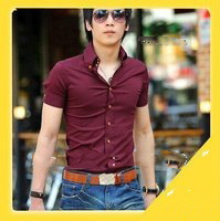 Men's Short Sleeve Blouse Leisure Anti-Shrink Anti-Wrinkle Cotton Sleeves Shirt