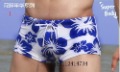 Hot Sell 16 Colors Men's Sexy Anti-Static Eco-Friendly Swimming Trunks Swimwear Beachwear Underwear