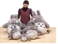 Clothes and PP Material Many Sizes Cute Totoro Lody Toys