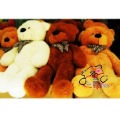 Teddy Bear Pure PP Cotton Inside With Zipper Stuffed & Plush Animal