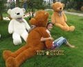 Teddy Bear With A Tie Waterproof Stuffed & Plush Animal