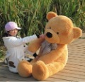 High Quantity Plush and Woolen Material 63 Inch Different Colors Teddy Bear